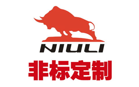登車橋支持非标定制